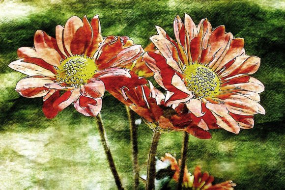 Download Printable Flower Graphics Pack# 01 - Printable Collection