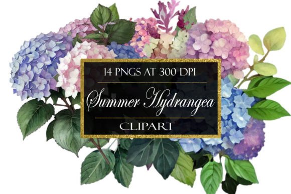 Download Summer Hydrangea Flower Clipart - Flower clipart Collection